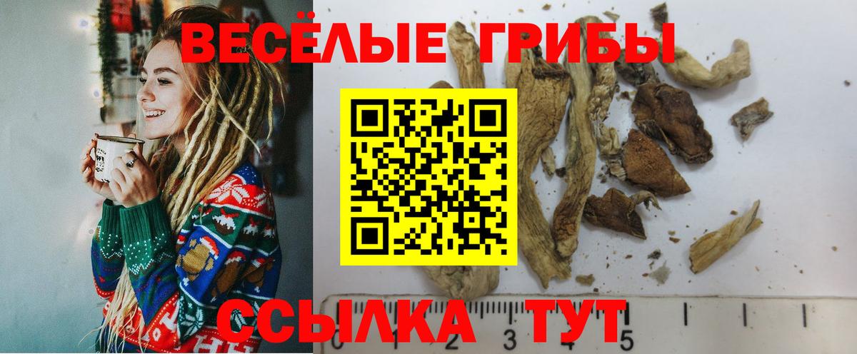 Галлюциногенные грибы GOLDEN TEACHER Нижнеудинск