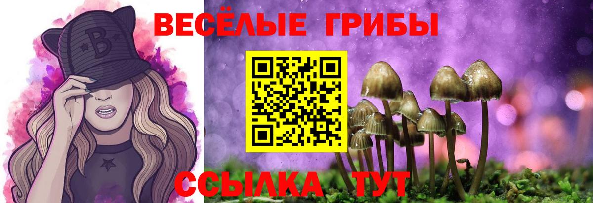 Псилоцибиновые грибы Magic Shrooms  Псилоцибиновые грибы Cubensis  Вход с VPN  Нижнеудинск 